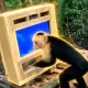 Coin image for 8cbPwRSxAiQycBrkSdVgfnDBFSU3ZtGrXqqvvBstpump