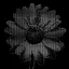 Coin image for 8e7x6NhdJHVsWndMCcjyKFGdoDrKRu5hshTA4Aj6pump