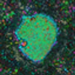 Coin image for 8fBQb6dRuQ1azdxpr1RKqkKtLtoFEtZhhZ6cRbogyiMb