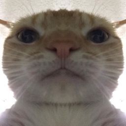 Coin image for 8fFvaVd2SXgGDgEFBEpCEvcC8qqAXsY9Wdab1TAiMAFq