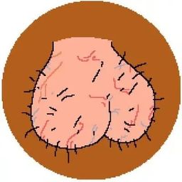 Coin image for 8gTXe9LAPaN5wCLc6HBdhQ9GKqmLwvd5LFRUGhQJpump