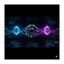 Coin image for 8gvCMW8iXy22nEXnQqMCBsEWCjwtwATJKoBgQQ5cznWi