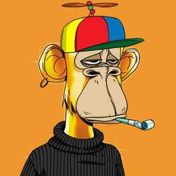 Coin image for 8hhHAjPFDHFXkAPDMLoUrmsfvPRJCBK4ZstwABtYpump
