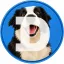 Coin image for 8iEKu3P1fBo6bdBZjD8rA4DHskCBvHmpfRrKm1aP6bVN