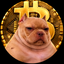 Coin image for 8ienE6Qs8jqNzL2gKey5q9eNvJXmSmtpr1acZ7kcpump