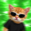 Coin image for 8j8okDPcnpwByNihHH9JJrbfJghDqVyh4rbbsZ3qpump