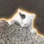 Coin image for 8jRGshSTjLjiV4FKJGxQeENni34edMTuwz3rXpfKpump