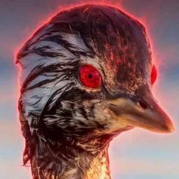 Coin image for 8mBvZXdPcX9Sh2BCpw3aMyMutNQf2LUJceyLRc6Fpump