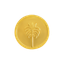 Coin image for 8oRmL8wAvYjKdK8NwKSkPE632PPeBNg2GrHUtfA1pump