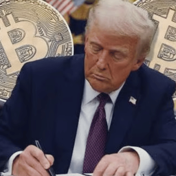 Coin image for 8pcDiPmWFvoixzHN7hSAcLLFE3geeZSbJJM7uJbvpump