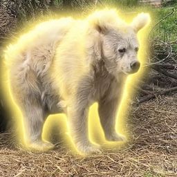 Coin image for 8ptEUbQKwDw4kUwsUiwLvW4eNHMFj7pXKzRfV3bZpump