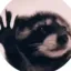 Coin image for 8r1tddnnCxwPKiQvzxp7hZhUMDJBu83tEkoxVjoWDbvD