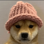 Coin image for 8rBzyqmvXbjRY2Z5KzdvxESazhCoP4xqj8zZdGUTv8Mq