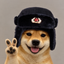Coin image for 8sALjJRwUYcanUq2mBzuxZGdfepYHqU6aR5VMdjzpump