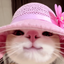 Coin image for 8tiZUftRmrWBfAH5m2equEewevYACAvxoohy5yo6pump