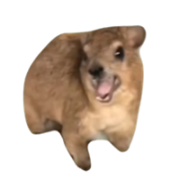 Coin image for 8uFgDdrxHBiCPZExFoS39Hjx7JEaZVtPAp9ex2Cppump