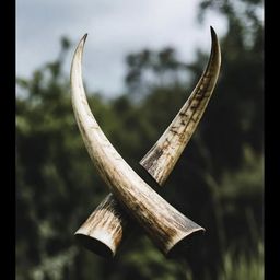 Coin image for 8uSW1EZa8UPzP7sKcJsik3iAERYdbnHkmeZrGhYBpump