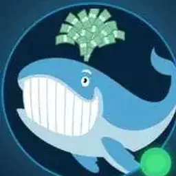 Coin image for 8ujPduvDBHAUBABUqMvgKiko3cGLtWCChTKFkqLWpump