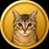 Coin image for 8vatYqwQrD3i4ZeWT2V4mx2JmkQApWmw3qMiTAqmpump