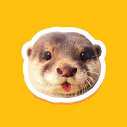 Coin image for 8wbkpbUbrcoRohjkGuzD9sVpxEysAh8emFyRK3FVpump