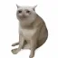 Coin image for 8wdCRnzJxdEpYRbfZted9pVKjduXCuJmfMvD2gmfF1US