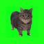 Coin image for 8wqM2ZkW2YyMFSP9ebya8DHShsYfPPqHkDnJjnHupump