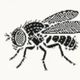 Coin image for 8xosgcVVvJWs1oQ7c711hGwC2J8r9rRPGDbHysFFpump