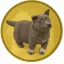 Coin image for 8yVQmm4JpHnVtdQMBvanjmHe38DEmQohSBzkJHvCpump