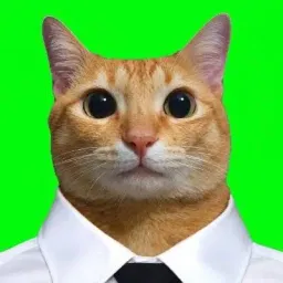Coin image for 8yeFiqkKJ1TvgCaziKrqTLfVZCpi1f6ykeLyggRQpump
