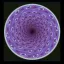 Coin image for 8zq8sNqHX5xveczfnbZpApCZsa45Gyse4hyCPVrpUxb3