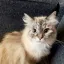 Coin image for 9121CuWhofMBYmoJb6YQcLdUwGXM4SjVC1bzuQhKatJr