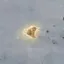 Coin image for 91BsaDZuRHoaz8QhkrSaj6osdFnDihPmJDNGZYUupump