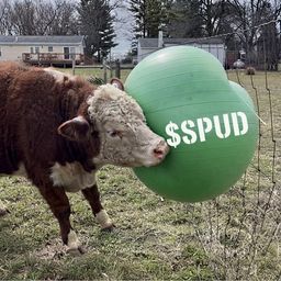 SPUD