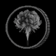 Coin image for 93r5rvsn6U7xK9Mo9z31XxDoRLayH4rWktygzLp6pump