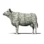 Coin image for 954r1WgzpWSMqdHTLfXhzxAaDRdsucNXNJBBZs84pump