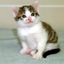 Coin image for 98dciCBAmzc4aCbwbe6LG69d7P9QRrGTFk6RFdBHpump