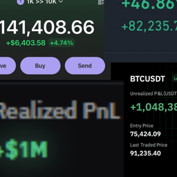Coin image for 9Anwppu4NzUXp2zLfNoqLXY1ziaceuzEXAcSSrTLpump