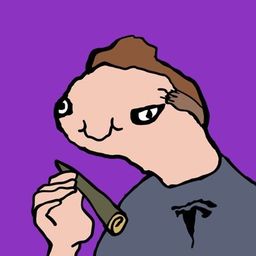 Coin image for 9BWhRaU2FMnyroPdNHLDPG5ovCfAWT8NdjJMQhtxLSmu
