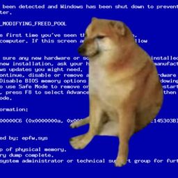 Coin image for 9BfoAA1h9CMLSequZNeAA32FCS5nMLmG9rfnXYb5pump