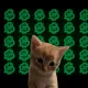 Coin image for 9Bg64GJeWSkCbQxgajqQp3nzMrt1wyVnAXYusjFjpump