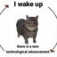Coin image for 9DXyPpkZ9fVVXUfcKXF7LdjzUz7YdVeW6wsymj75g4qL