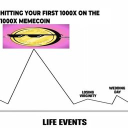 Coin image for 9FFtCaKWnGed6yGzVGaUPYpXSN9syHQLaSotuN3Tpump