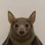 Coin image for 9FaeP7t7UTbM3fnymQ4EYNEhRVcyuRoUXPZjdxzvcrnE