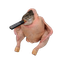 Coin image for 9FvJtE27Bik68XCt1SfRNj5aYsKX7xMceX89pgLXpump