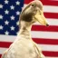 Coin image for 9HdnrYzcgJQJvjxsGiUjGPQXMQ7Sh67Ae7oDN4Vkpump