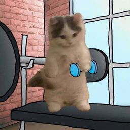 Coin image for 9LYRTY2XvnkQRUtGp5Gc2YjihXkT4ik2vKA1XUCXpump