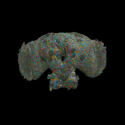 Coin image for 9LuwgFQemAoV9rgVBBtwbRSxBmamcRRbysEK8yL2pump