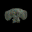 Coin image for 9LuwgFQemAoV9rgVBBtwbRSxBmamcRRbysEK8yL2pump