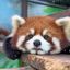 Coin image for 9N7L7ftE9pbtaaRWaxd3sZrBeyX2pREb842vkZJXzXm2