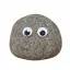 Coin image for 9NKDgbZRYC6JtAskMEhAvGcXS1cgbQPdoqqsmiNzFSgt